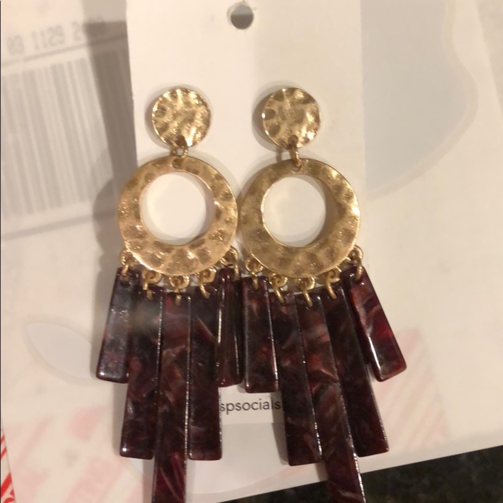 Earrings